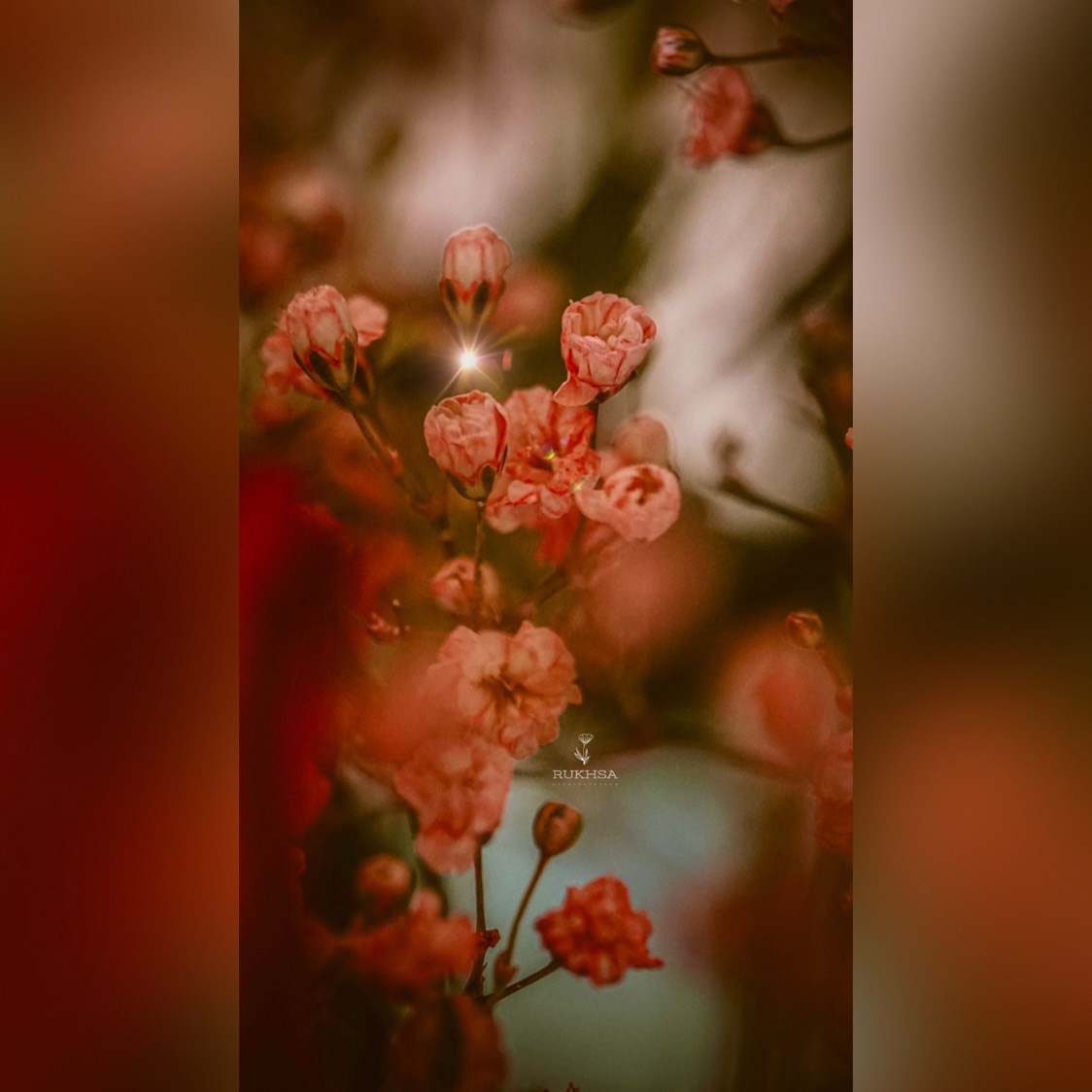 Rukhsa photo